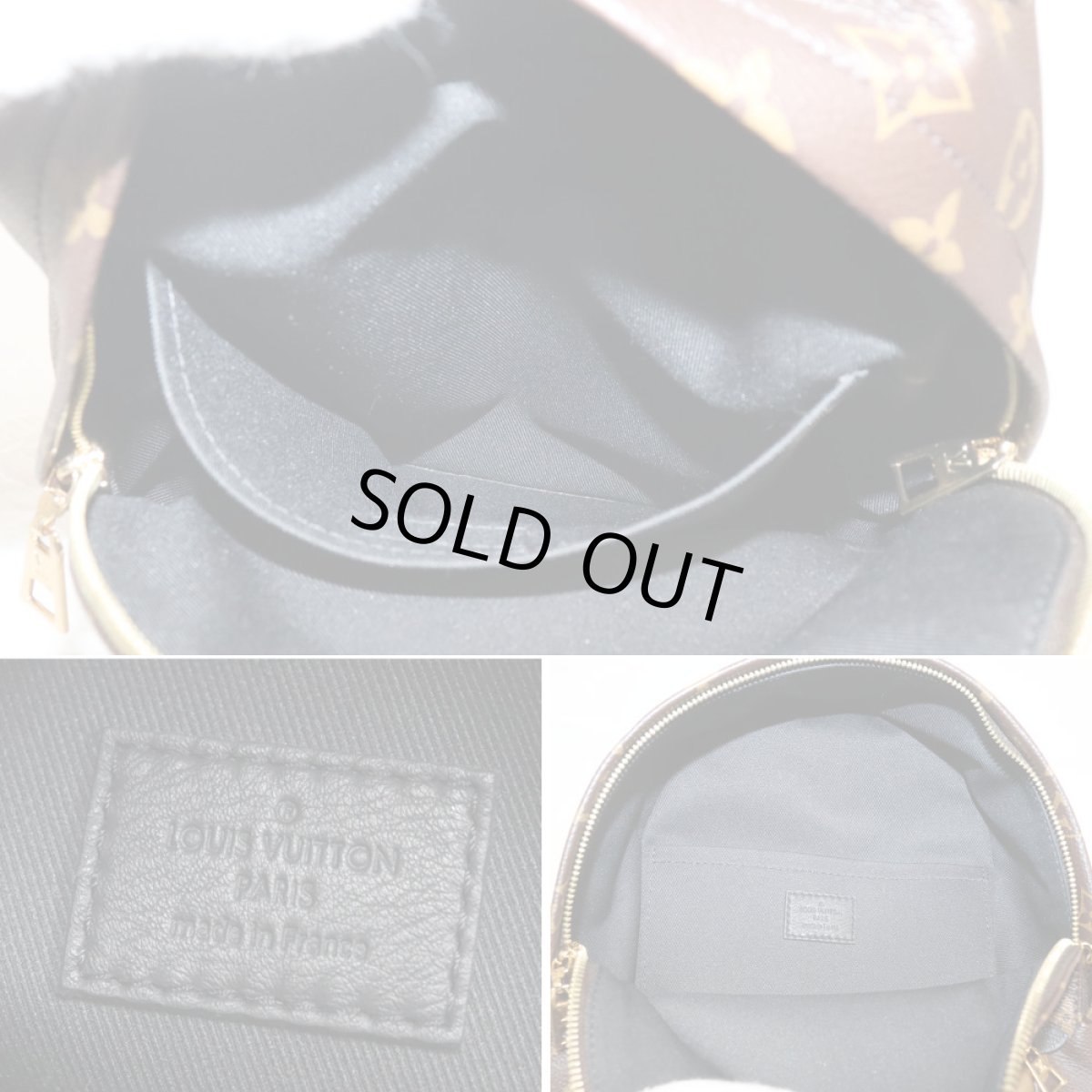 画像10: パームスプリングス・バックパックPM(M44870)モノグラム/モノグラム・リバース (10)