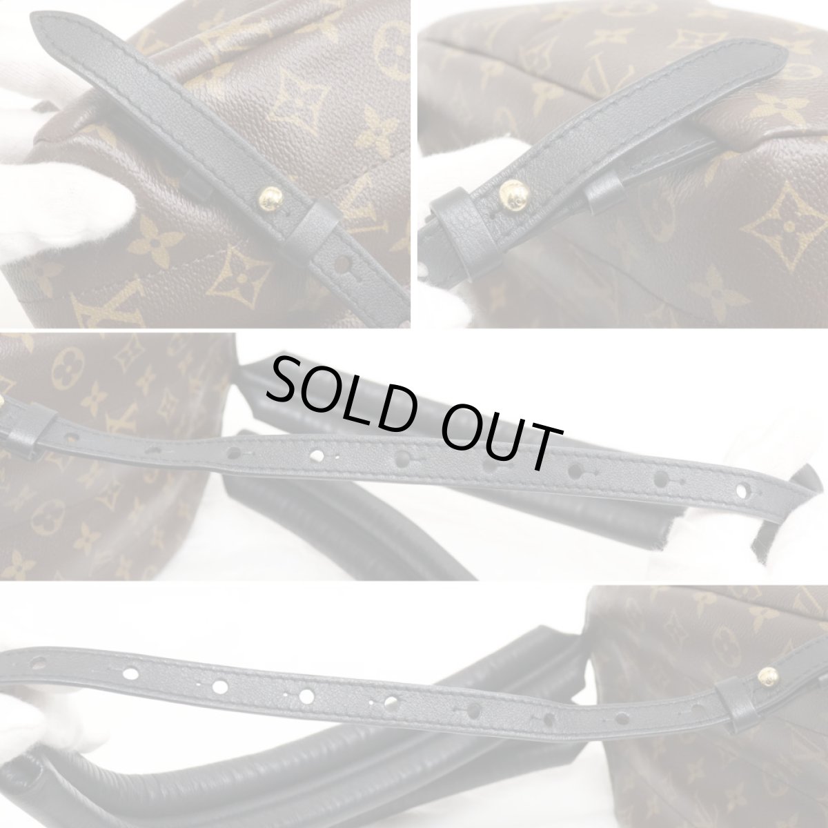 画像5: パームスプリングス・バックパックPM(M44870)モノグラム/モノグラム・リバース (5)