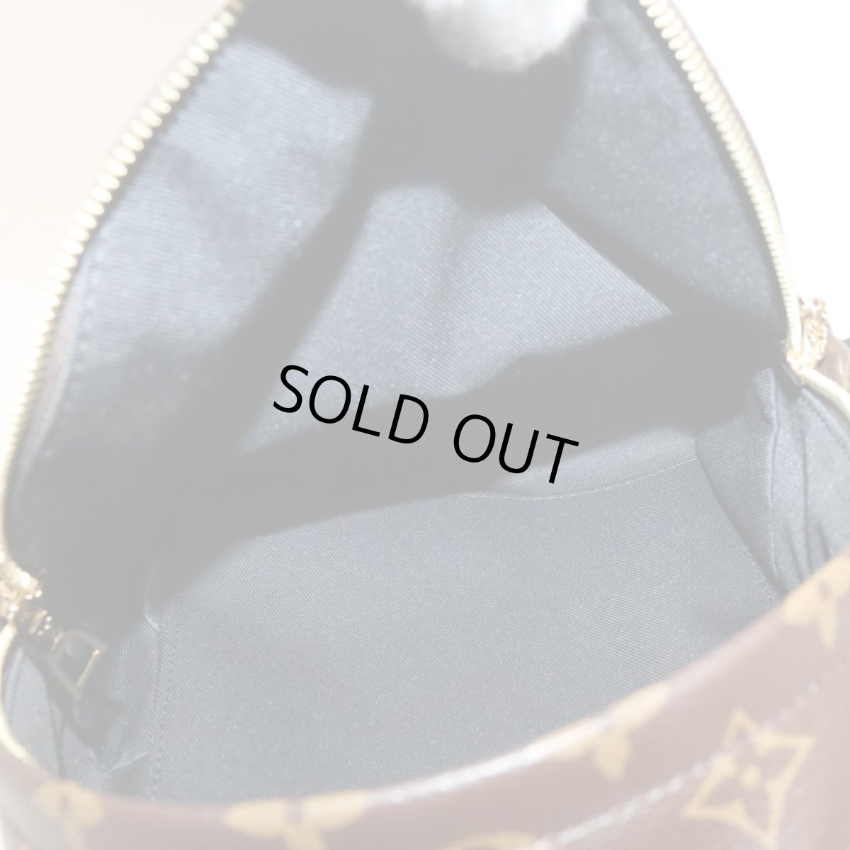 画像8: パームスプリングス・バックパックPM(M44870)モノグラム/モノグラム・リバース (8)