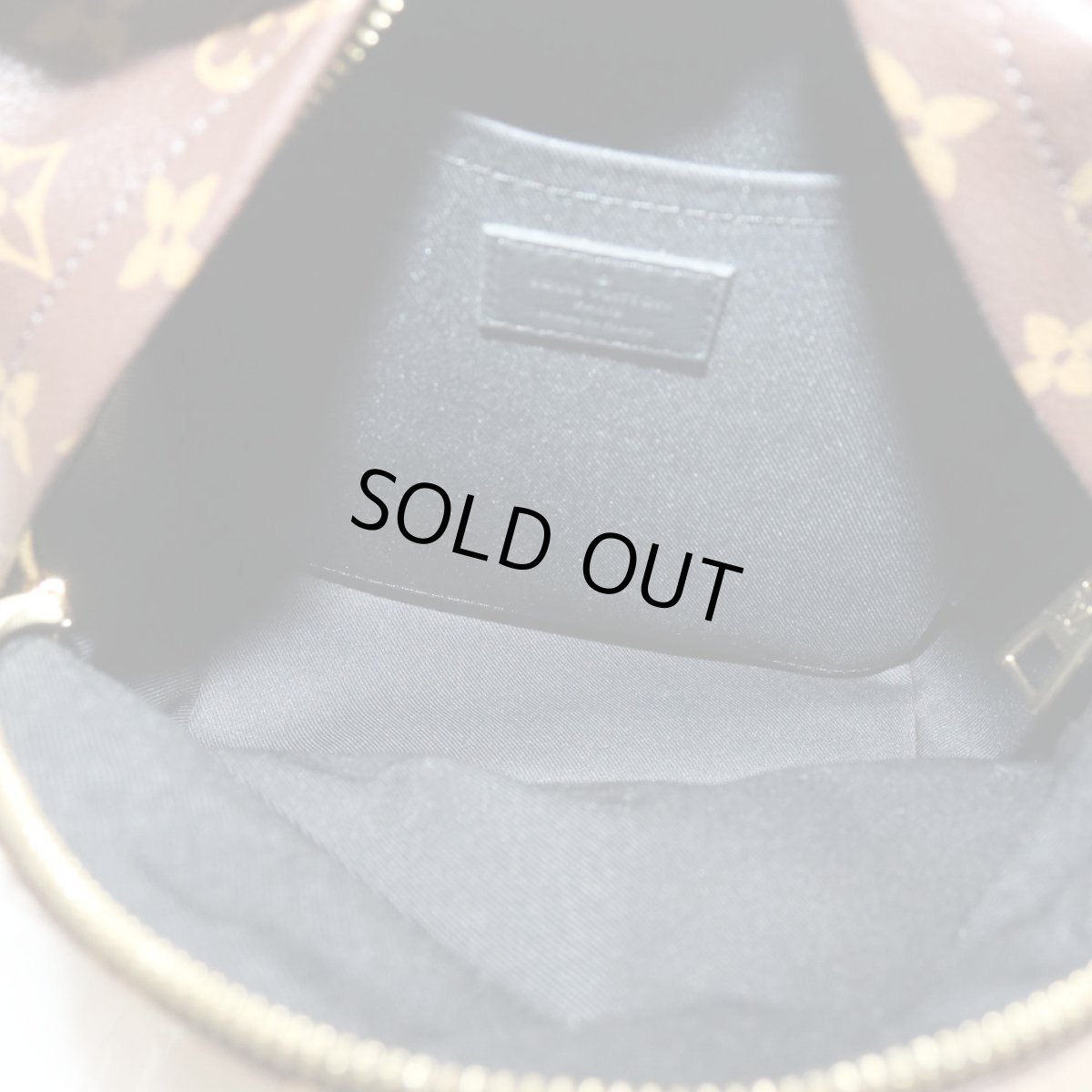 画像9: パームスプリングス・バックパックPM(M44870)モノグラム/モノグラム・リバース (9)