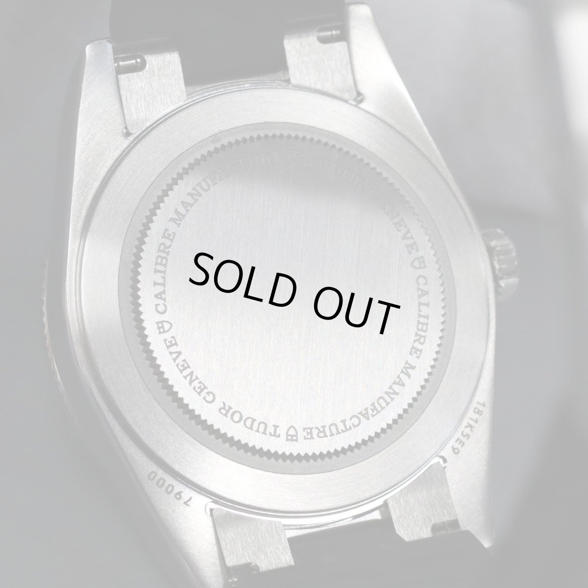 画像6: チューダー ブラックベイ 54(79000N) (6)