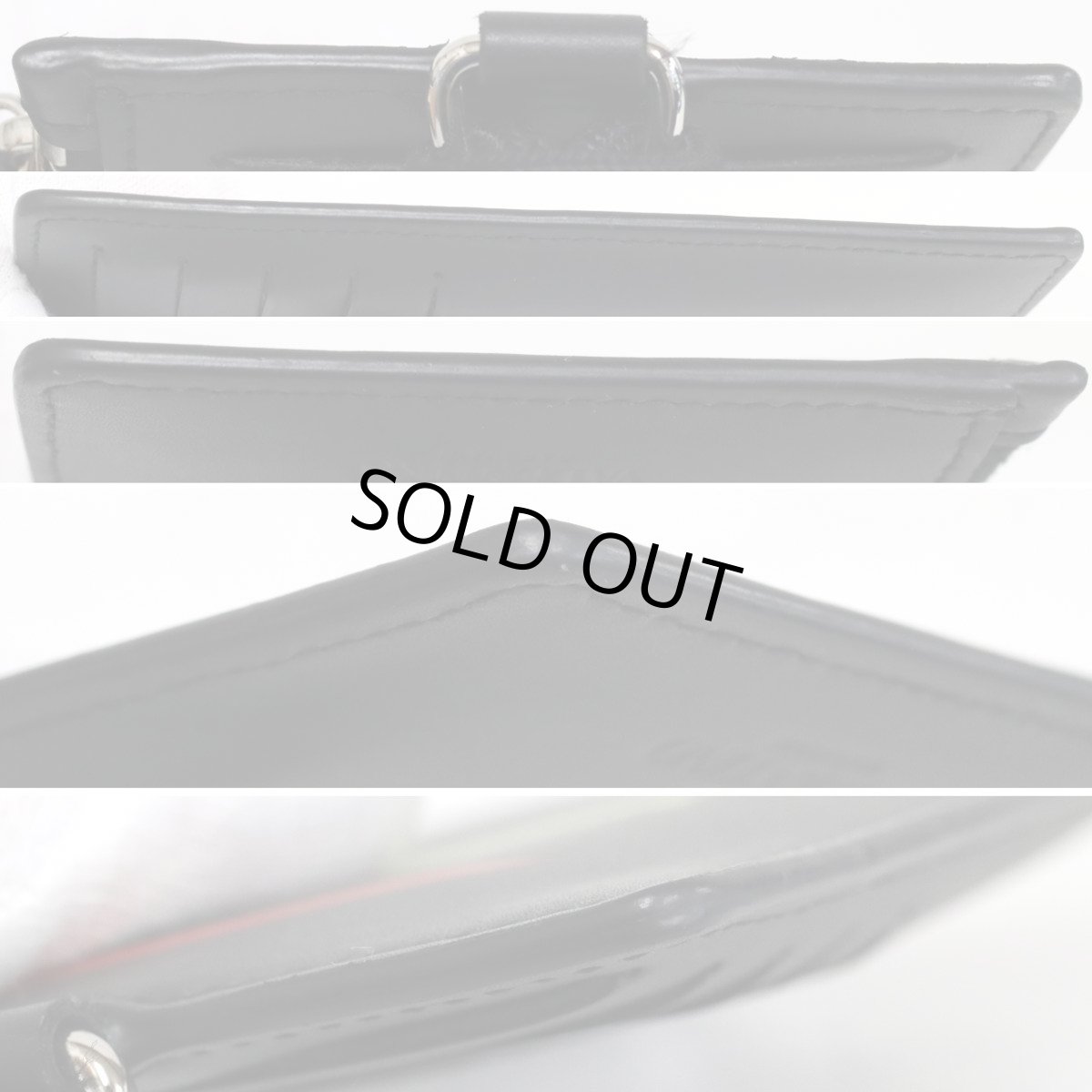 画像7: ヴァレンティノ・ガラヴァーニ ストラップ カードケース(VY2P0R61KCC)レインボーロゴ (7)