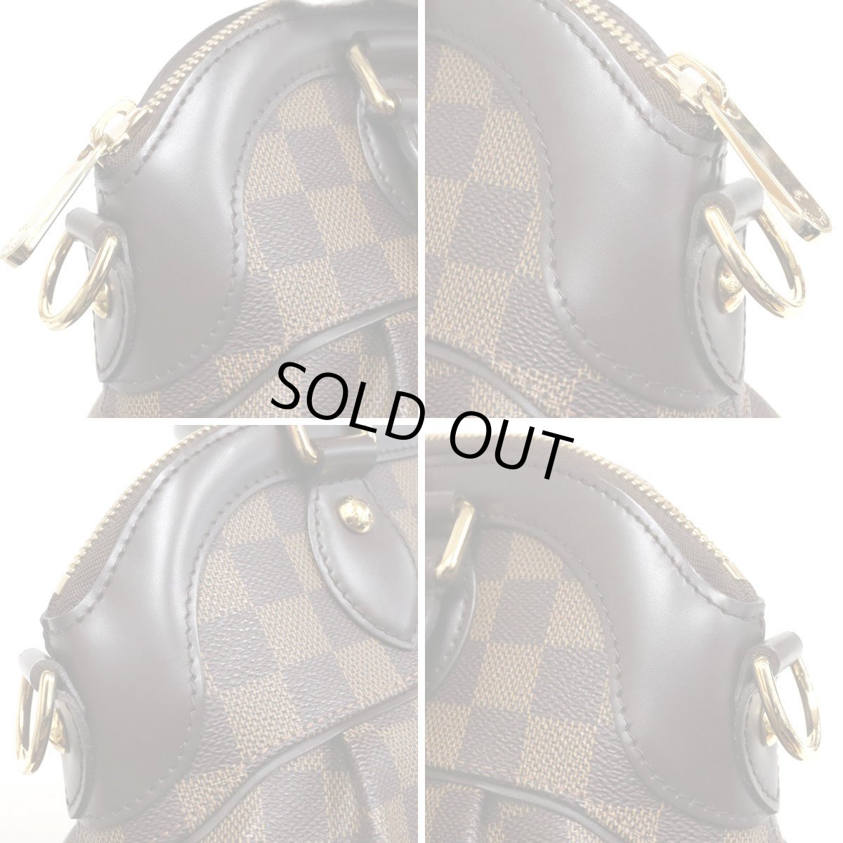 画像4: トレヴィPM(N51997)ダミエ・エベヌ (4)