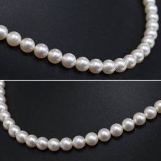 画像2: ミキモト パールネックレス シルバー金具 約7.1-7.3mm 内外箱 (2)