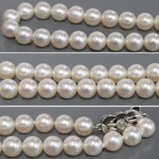 画像4: ミキモト パールネックレス シルバー金具 約7.1-7.3mm 内外箱 (4)