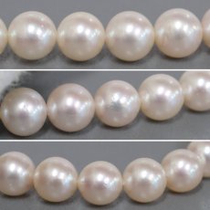 画像6: タサキ パールネックレスイヤリングセット シルバー金具 7.0-7.5mm 内外箱 (6)
