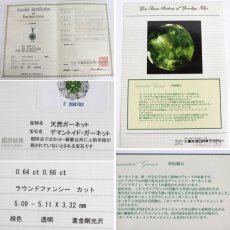 画像10: Pt900/Pt850デマントイドガーネットダイヤモンドペンダント DG0.64 D0.66 5.2g 40cm 鑑別書 (10)