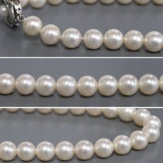 画像4: パールネックレス シルバー金具 8.0-8.4mm 鑑別書 (4)