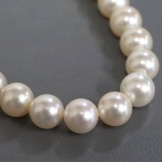 画像6: パールネックレス シルバー金具 8.0-8.4mm 鑑別書 (6)