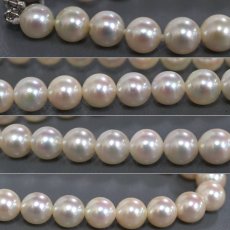 画像4: パールネックレス シルバー金具 6.6-6.9mm 鑑別カード (4)