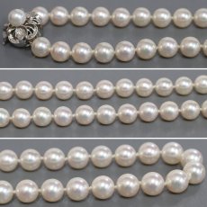 画像4: パールネックレス K14WG金具 7.0-7.5mm (4)