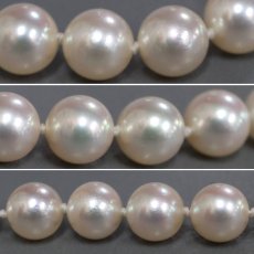 画像7: パールネックレス K14WG金具 7.0-7.5mm (7)