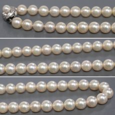 画像4: パールネックレスイヤリングセット シルバー金具 7.1-7.4mm (4)