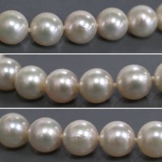 画像7: パールネックレス シルバー金具 8.0-8.5mm (7)