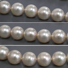 画像8: パールネックレス シルバー金具 8.0-8.5mm (8)