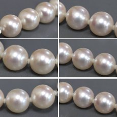 画像7: タサキ パールネックレス シルバー金具 9.0-9.4mm 43cm (7)