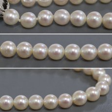 画像4: パールネックレス シルバー金具 8.0-8.4mm 38cm (4)