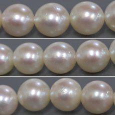画像7: パールネックレス シルバー金具 8.0-8.4mm 38cm (7)