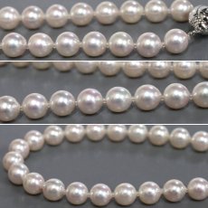 画像5: パールネックレス シルバー925金具 7.5-7.8mm 43cm (5)