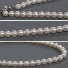 画像4: ミキモト パールネックレス シルバー金具 7.0-7.5mm 42cm (4)