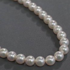 画像6: ミキモト パールネックレス シルバー金具 7.0-7.5mm 42cm (6)