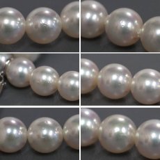 画像7: ミキモト パールネックレス シルバー金具 7.0-7.5mm 42cm (7)