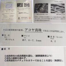 画像10: 無調色パールネックレス シルバー金具 7.0-7.5mm 43cm 鑑別書 (10)