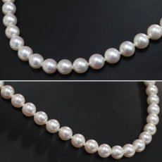 画像3: パールネックレス シルバー金具 8.0-8.9mm 43cm (3)