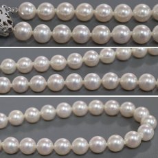 画像5: パールネックレス シルバー金具 8.0-8.9mm 43cm (5)
