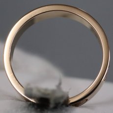 画像4: 750PGミニラブリング 3.8g #10(#50)(B4049750)保証書 (4)