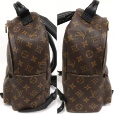 画像3: パームスプリングス バックパックPM(M41560)モノグラム (3)