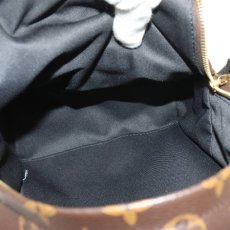 画像8: パームスプリングス バックパックPM(M41560)モノグラム (8)