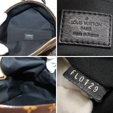 画像9: パームスプリングス バックパックPM(M41560)モノグラム (9)