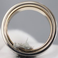 画像4: 750WG/PG シークレットラブリング 11.3g #15(#55) (4)