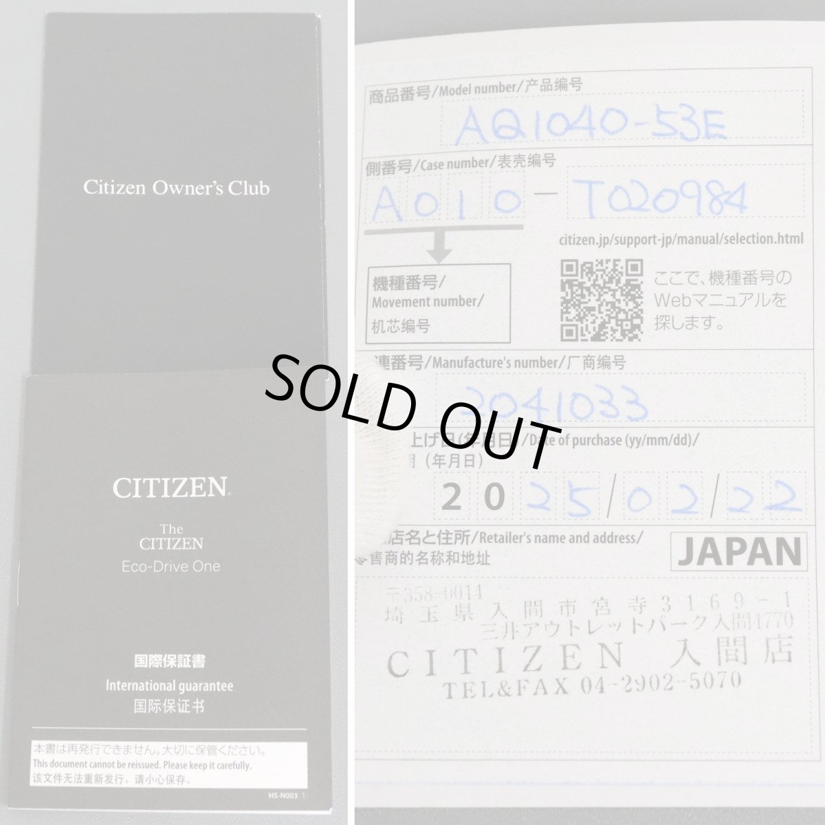 画像10: シチズン ザ・シチズン エコドライブ アクティブシリーズ(AQ1040-53E)A010-T020984 (10)