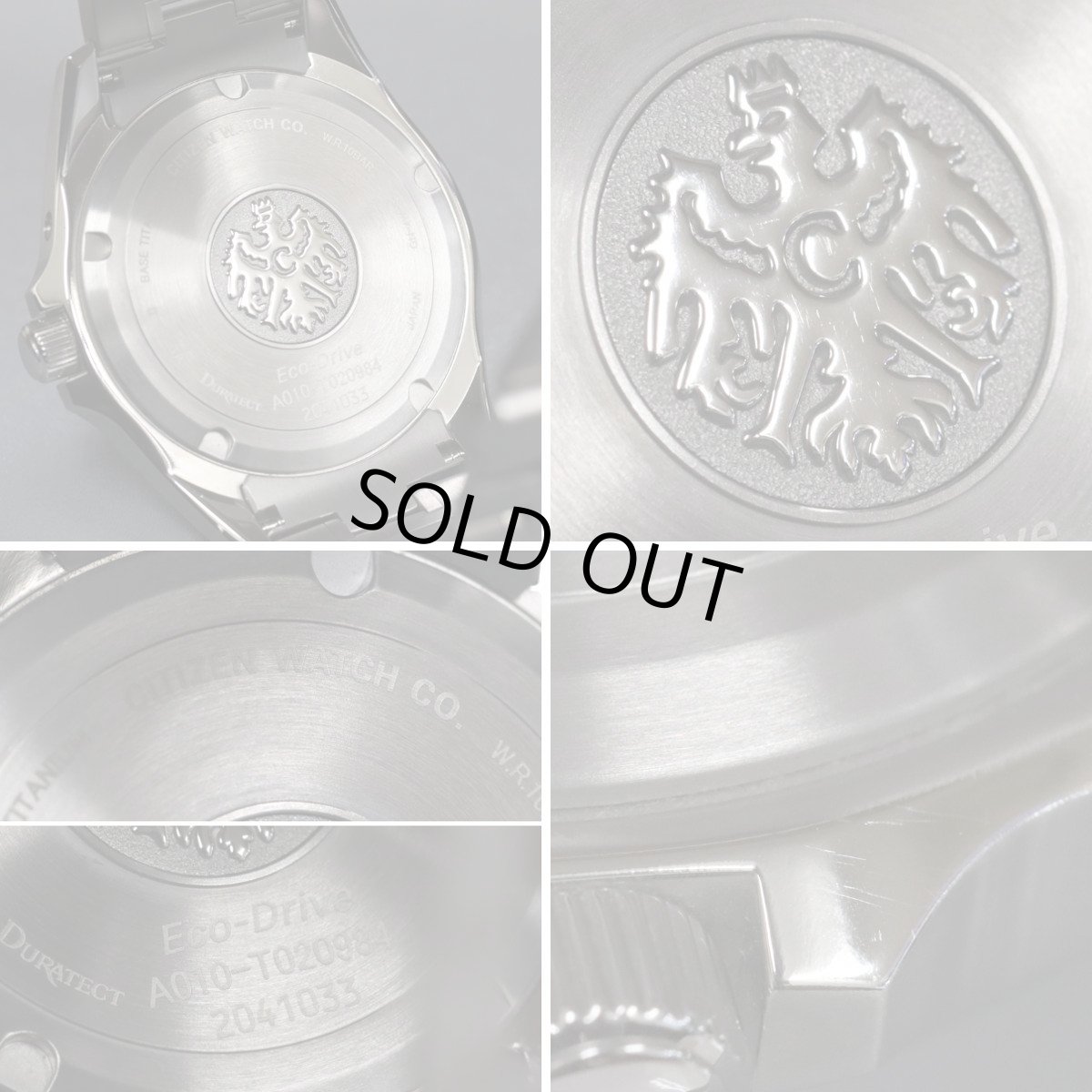 画像7: シチズン ザ・シチズン エコドライブ アクティブシリーズ(AQ1040-53E)A010-T020984 (7)