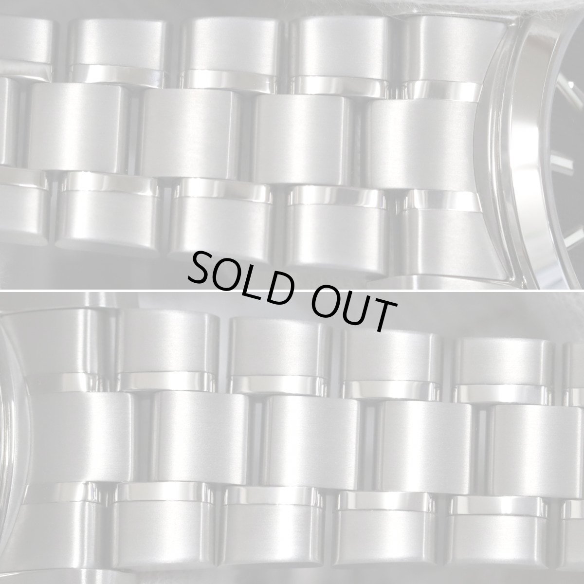 画像8: シチズン ザ・シチズン エコドライブ アクティブシリーズ(AQ1040-53E)A010-T020984 (8)