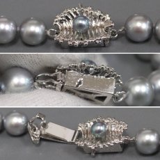 画像8: タサキ グレーパールネックレス シルバー金具 7-7.5mm 42cm (8)