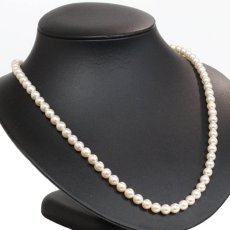 画像1: パールネックレス シルバー金具 6.4mm 51cm (1)