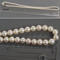 画像9: パールネックレス シルバー金具 6.4mm 51cm (9)