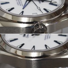 画像4: シーマスター アクアテラ 150M グッドプラネット マスター コーアクシャル(231.90.39.21.04.001) (4)
