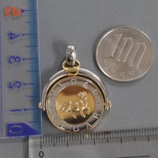 画像8: 750YG/SS ホロスコープ 山羊座 ペンダントトップ 12.9g (8)
