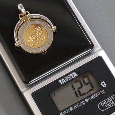 画像9: 750YG/SS ホロスコープ 山羊座 ペンダントトップ 12.9g (9)